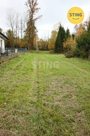 Prodej louky, Hostašovice, 2457 m2