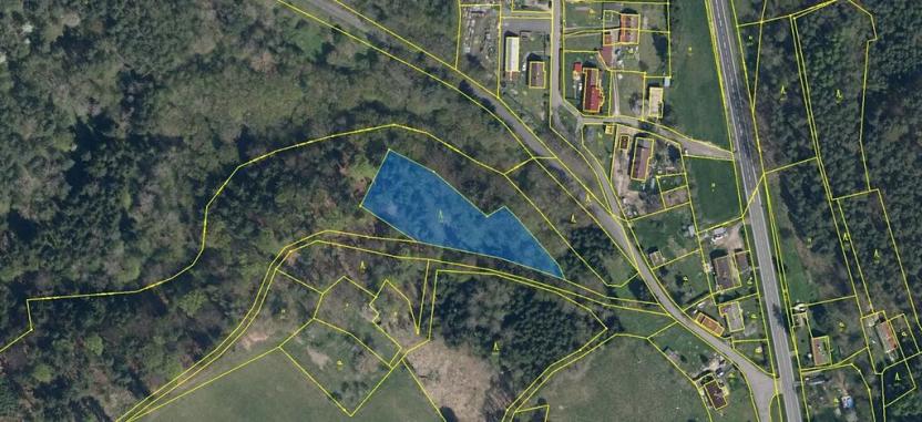 Prodej lesa, Dolní Krupá, 3736 m2