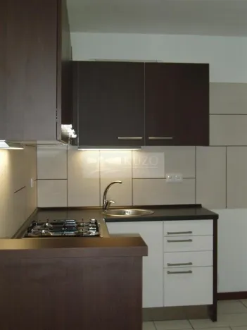 Pronájem bytu 1+1, Chomutov, Haškova, 30 m2