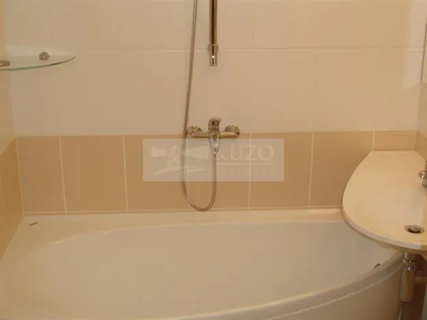 Pronájem bytu 1+1, Chomutov, Haškova, 30 m2