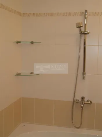 Pronájem bytu 1+1, Chomutov, Haškova, 30 m2