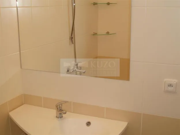 Pronájem bytu 1+1, Chomutov, Haškova, 30 m2