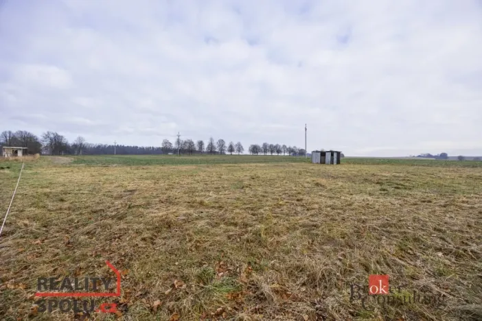 Prodej pozemku pro bydlení, Rybná nad Zdobnicí, 1000 m2