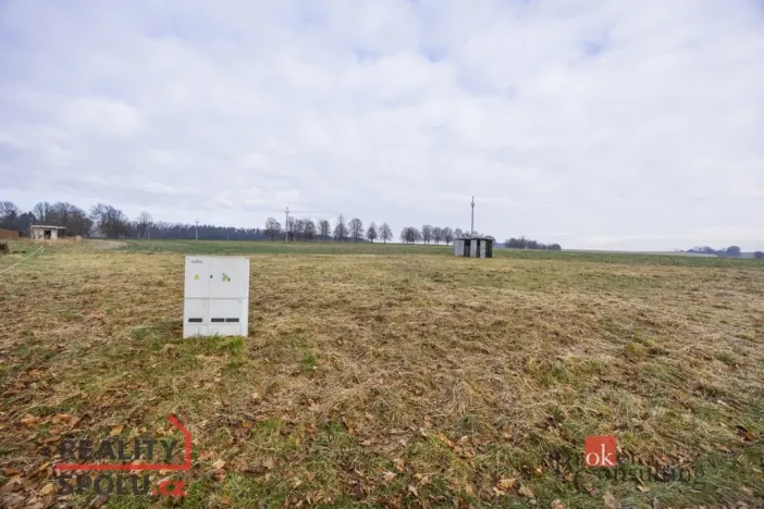 Prodej pozemku pro bydlení, Rybná nad Zdobnicí, 1000 m2