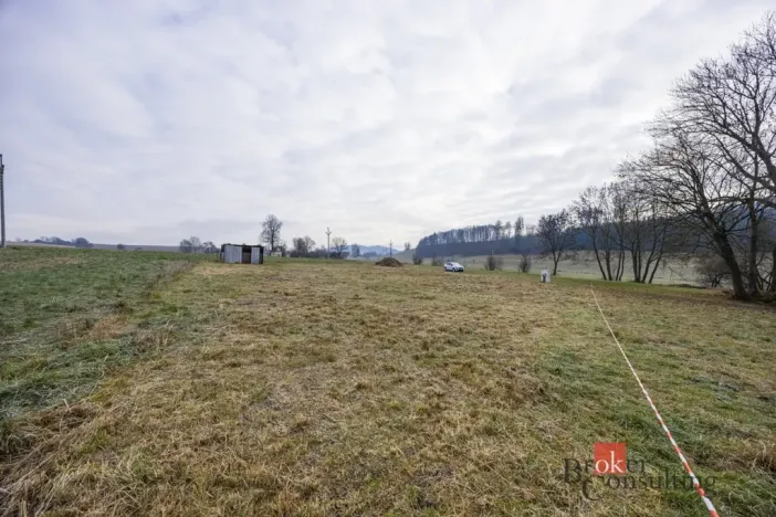 Prodej pozemku pro bydlení, Rybná nad Zdobnicí, 1000 m2