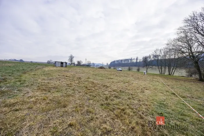 Prodej pozemku pro bydlení, Rybná nad Zdobnicí, 1000 m2