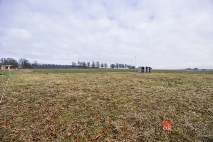 Prodej pozemku pro bydlení, Rybná nad Zdobnicí, 1000 m2