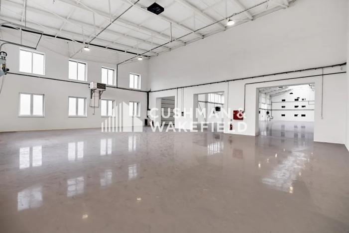 Prodej výrobních prostor, Ostrov, 6000 m2