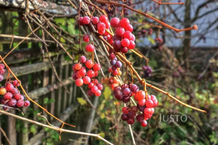 Prodej rodinného domu, Lipoltice - Sovoluská Lhota, 116 m2