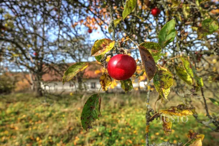Prodej rodinného domu, Lipoltice - Sovoluská Lhota, 116 m2