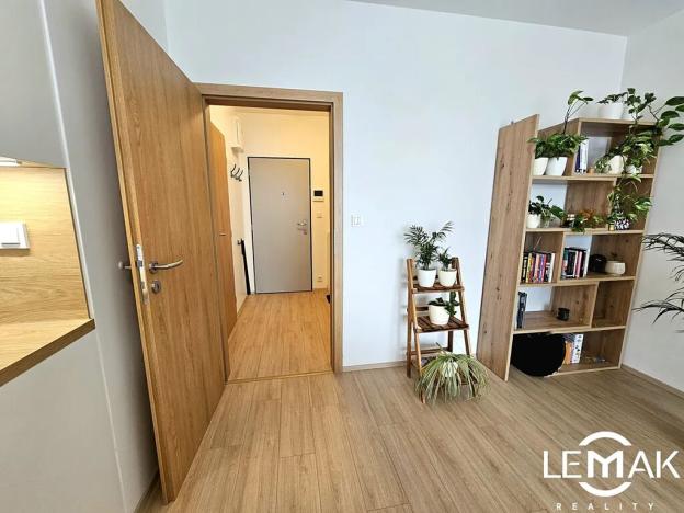 Pronájem bytu 1+kk, Olomouc, Loudova, 49 m2