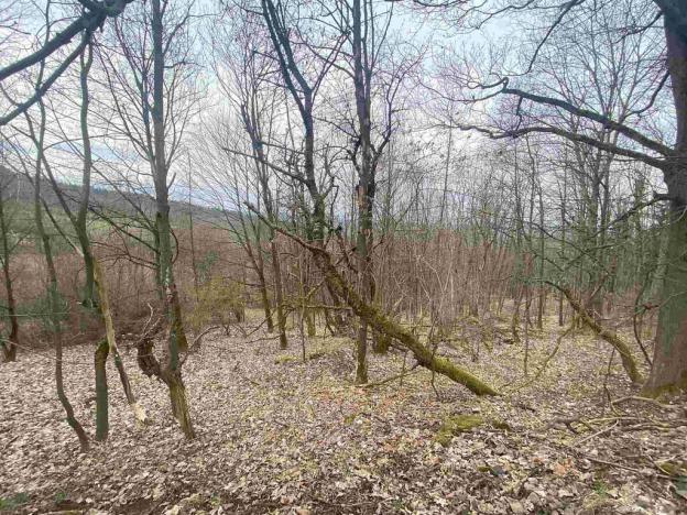 Prodej pozemku, Mírová pod Kozákovem - Vesec, 2000 m2