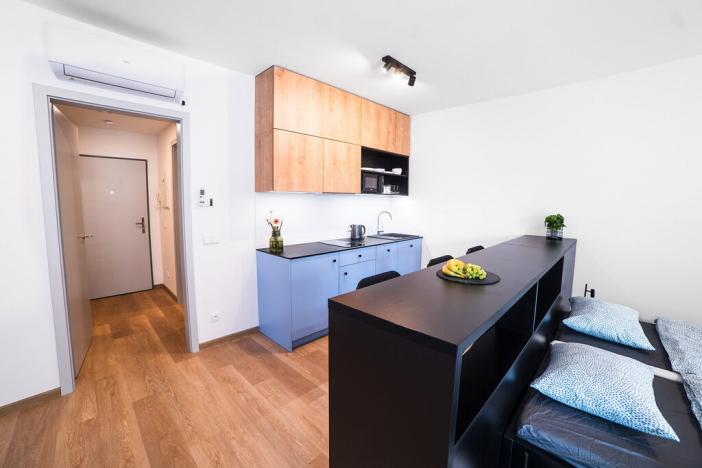 Pronájem bytu 1+kk, Olomouc, Edmunda Husserla, 40 m2