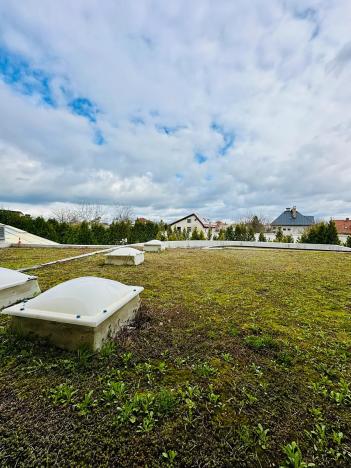 Pronájem bytu 2+kk, Praha - Suchdol, Suchdolské náměstí, 30 m2