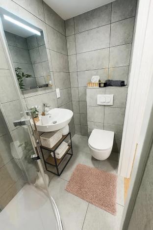 Pronájem bytu 1+kk, Praha - Strašnice, Sečská, 17 m2