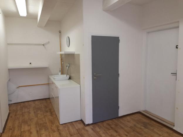 Pronájem bytu 1+1, Olomouc, Smetanova, 45 m2