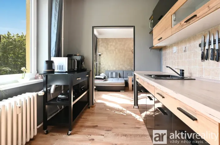 Pronájem bytu 2+1, Štětí, Školní, 54 m2