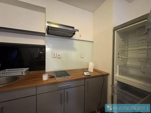 Pronájem bytu 1+1, Brno, Čápkova, 58 m2