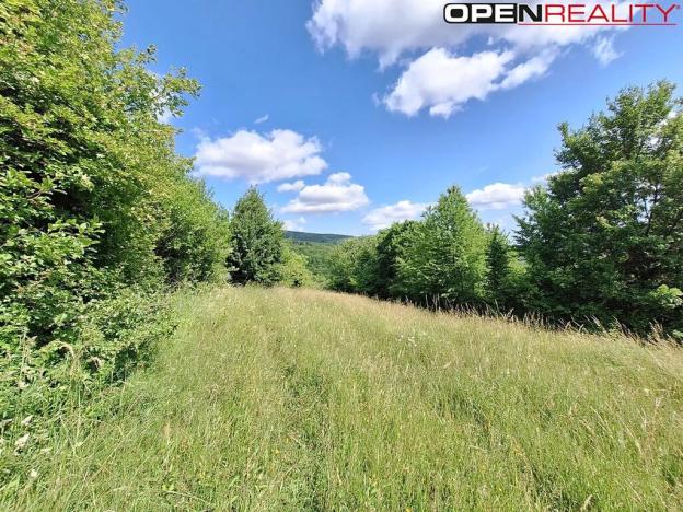 Prodej rodinného domu, Žítková, 80 m2