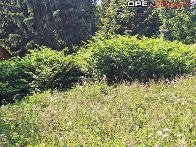 Prodej rodinného domu, Žítková, 80 m2