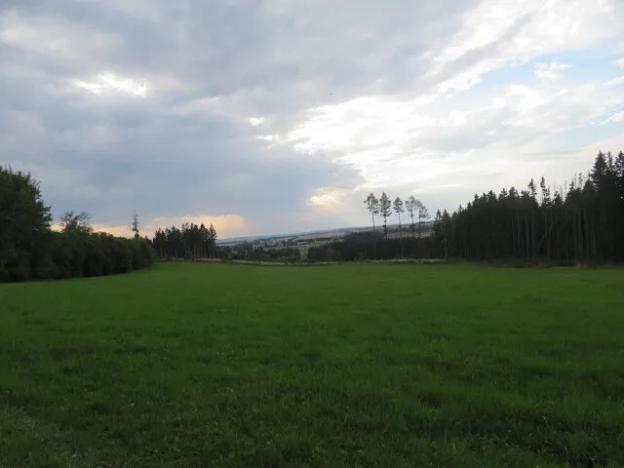 Dražba pole, Počátky, 11945 m2