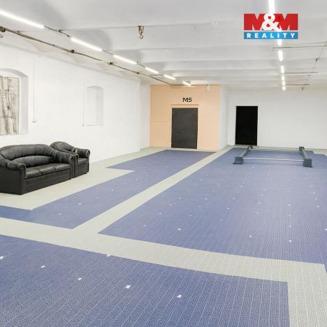 Pronájem garáže, Hořesedly, 230 m2