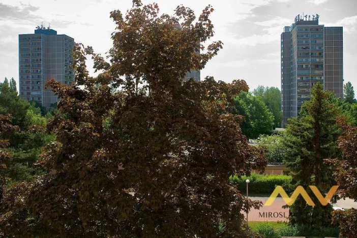 Pronájem bytu 1+kk, Hradec Králové - Pražské Předměstí, Hrubínova, 40 m2