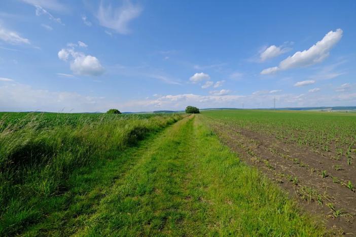 Prodej zahrady, Uherský Brod, 2032 m2