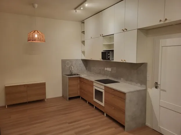 Pronájem bytu 1+kk, Ostrava - Moravská Ostrava, 28. října, 30 m2