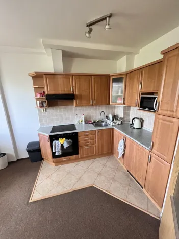 Pronájem bytu 1+1, Olomouc - Nová Ulice, Okružní, 26 m2