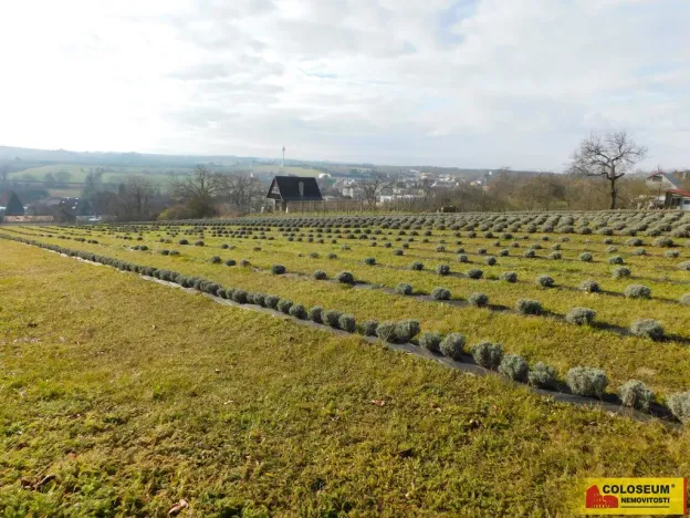 Prodej pozemku pro bydlení, Únanov, 500 m2