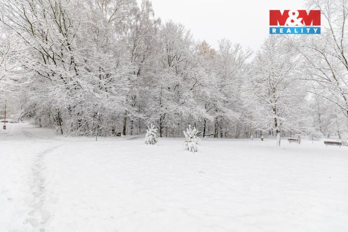 Prodej bytu 3+1, Havířov - Podlesí, Kubelíkova, 75 m2