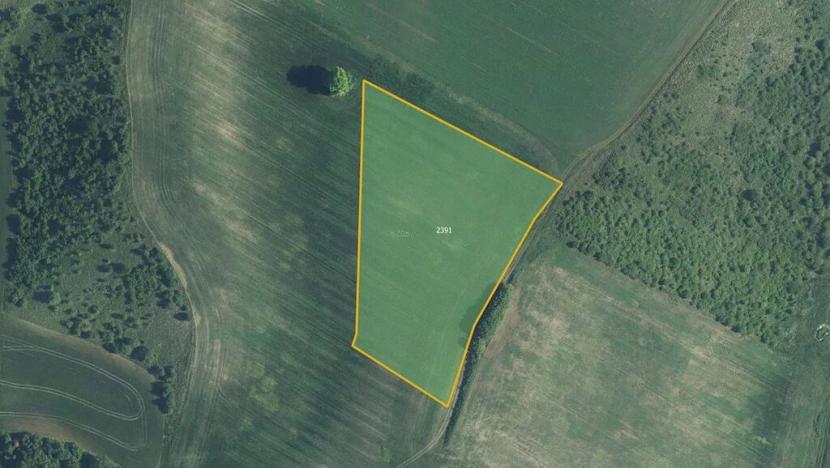 Prodej pole, Pouzdřany, 17410 m2