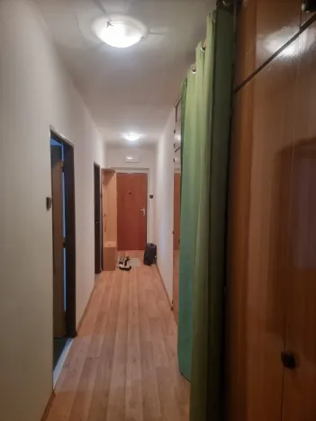 Pronájem bytu 3+1, České Budějovice - České Budějovice 5, Fr. Škroupa, 85 m2