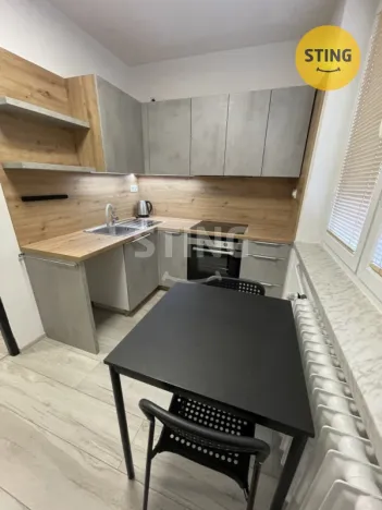 Pronájem bytu 1+1, Ostrava, Živičná, 38 m2