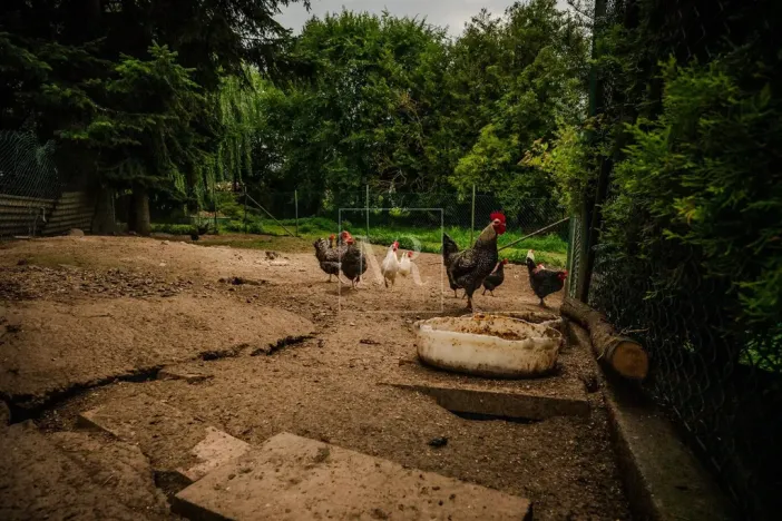 Prodej rodinného domu, Sulice - Želivec, Hlavní, 370 m2