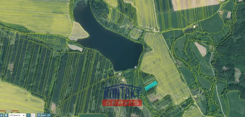 Prodej lesa, Sepekov, 2934 m2