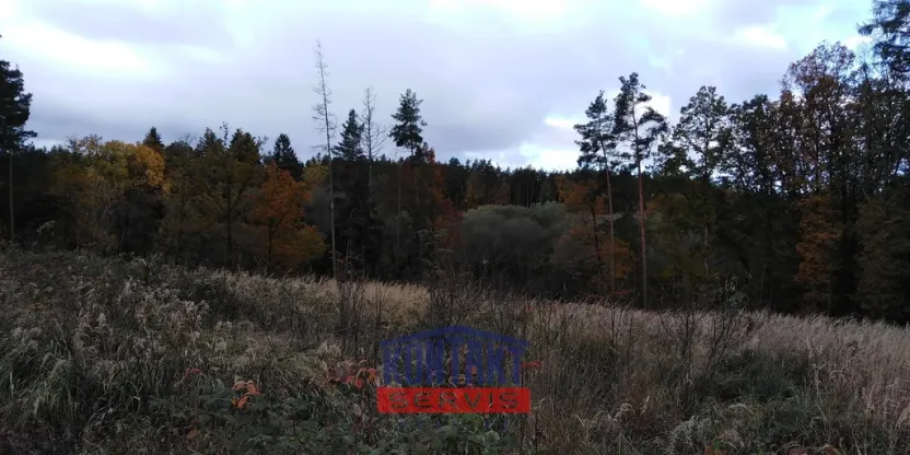 Prodej lesa, Sepekov, 2934 m2