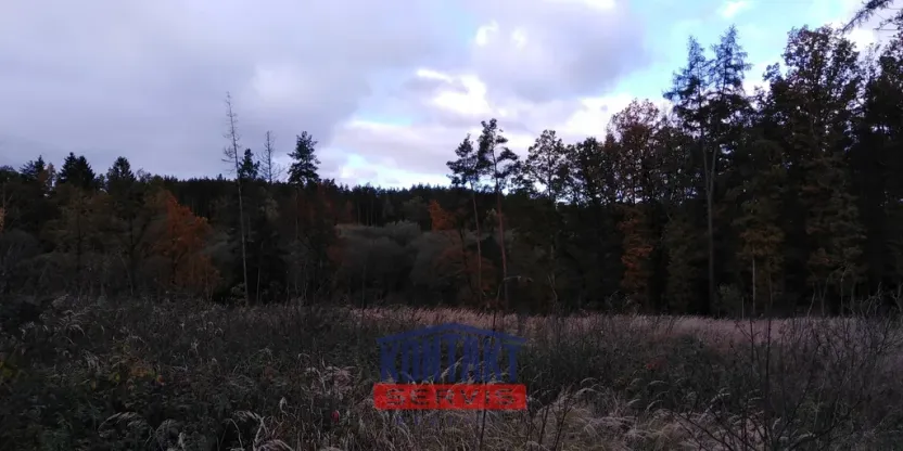 Prodej lesa, Sepekov, 2934 m2