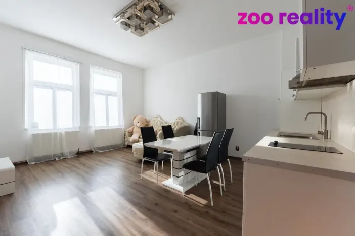 Prodej rodinného domu, Ústí nad Labem, Brožíkova, 355 m2