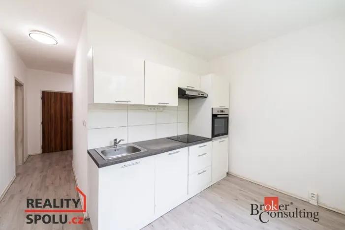 Pronájem bytu 1+1, Chomutov, Holešická, 42 m2