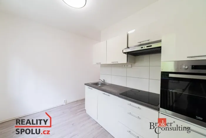 Pronájem bytu 1+1, Chomutov, Holešická, 42 m2