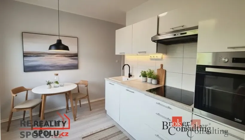 Pronájem bytu 1+1, Chomutov, Holešická, 42 m2