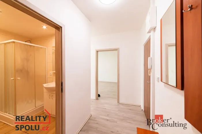 Pronájem bytu 1+1, Chomutov, Holešická, 42 m2