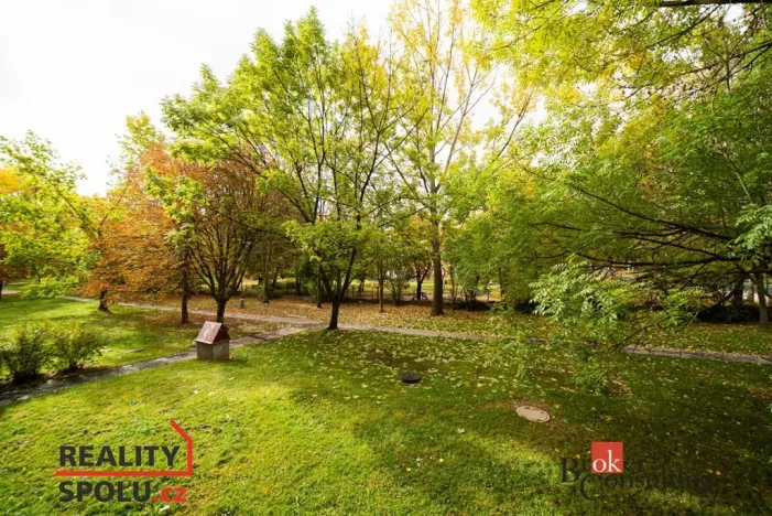 Pronájem bytu 1+1, Chomutov, Holešická, 42 m2