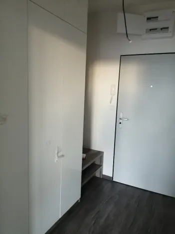 Pronájem bytu 2+kk, České Budějovice - České Budějovice 5, Fr. Škroupa, 55 m2