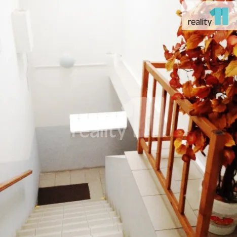 Pronájem bytu 1+1, Praha - Točná, náměstí Antonína Pecáka, 28 m2