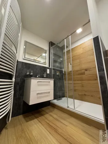 Pronájem bytu 3+1, Most, Josefa Ševčíka, 68 m2