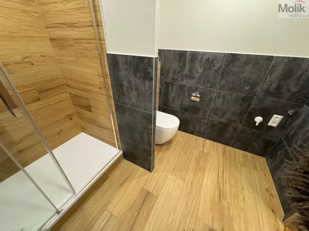 Pronájem bytu 3+1, Most, Josefa Ševčíka, 68 m2