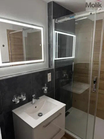 Pronájem bytu 3+1, Most, Josefa Ševčíka, 68 m2